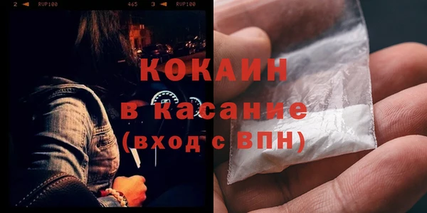 PSILOCYBIN Белокуриха