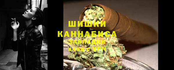 PSILOCYBIN Белокуриха