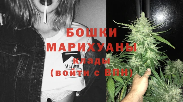 шишки Балабаново