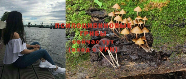 кокс Баксан