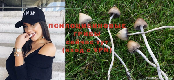 гидра Сафоново