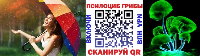 Псилоцибиновые грибы прущие грибы Красный Холм